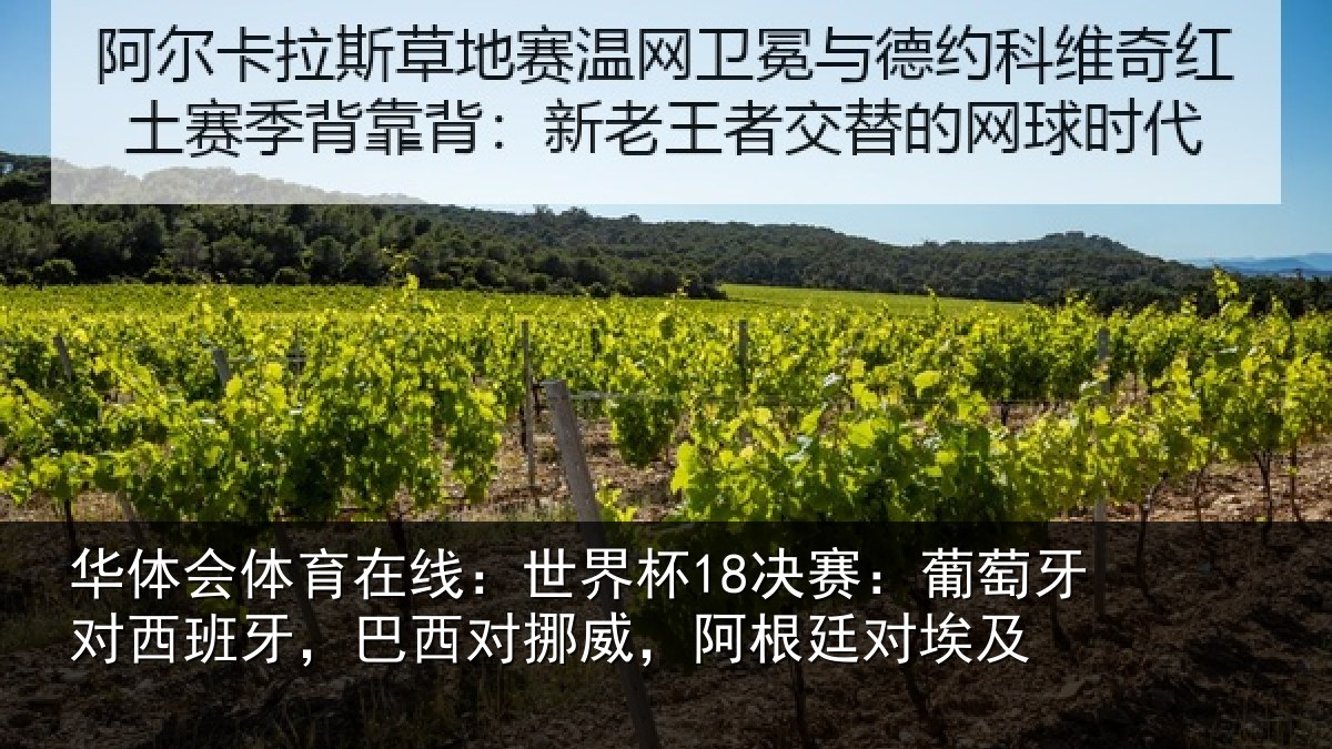 华体会体育在线:世界杯18决赛:葡萄牙对西班牙,巴西对挪威,阿根廷对埃及