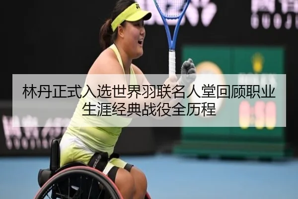 lin-dan-zheng-shi-ru-xuan-shi-jie-yu-lian-ming-ren-tang-hui-gu-zhi-ye-sheng-ya-jing-dian-zhan-yi-quan-li-cheng-3-482.jpg