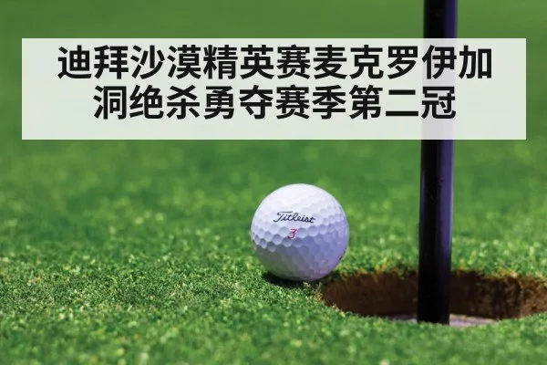 迪拜沙漠精英赛麦克罗伊加洞绝杀勇夺赛季第二冠