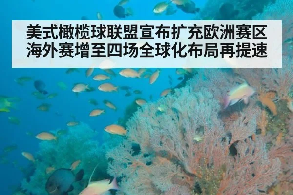 美式橄榄球联盟宣布扩充欧洲赛区海外赛增至四场全球化布局再提速
